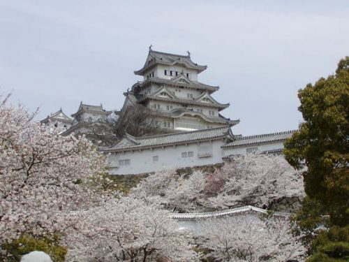 兵庫県姫路市：２０１９年４月６日（土）「第３４回姫路城観桜会」があります♪（＾＾）