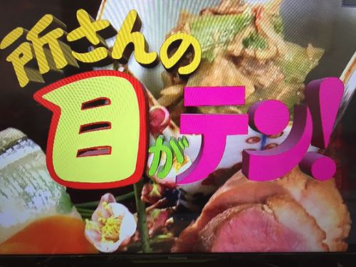 日本テレビ 所さんの目がテン！  ３月２６日朝7時放送予定 大注目 彦根城の科学   番組に彦根城のジオラマを貸し出しました。
