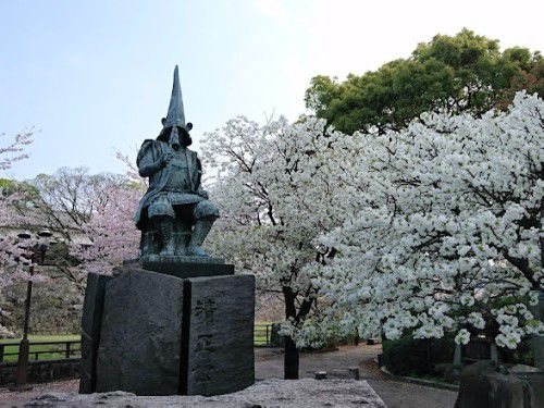 2017年、熊本城の桜
