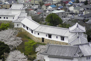 姫路城西の丸 | 姫路城の桜シーズンはおすすめです