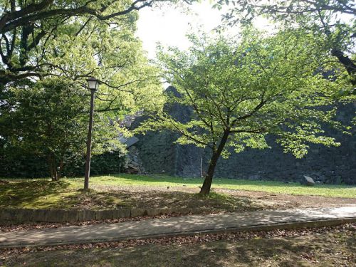 2016年4月29日の熊本城（4）北十八間櫓から東十八間櫓へ