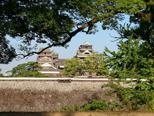 2016年4月29日の熊本城（12）二の丸広場から見た大小天守閣と宇土櫓と戌亥櫓<br />