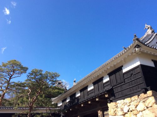 高知城にゆく  其の弐:杉の段から詰門、そして三ノ丸へ