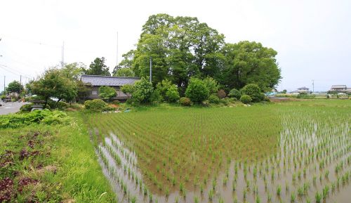 美濃　加賀野城　 「水の都」大垣に相応しい自噴水を抱える城