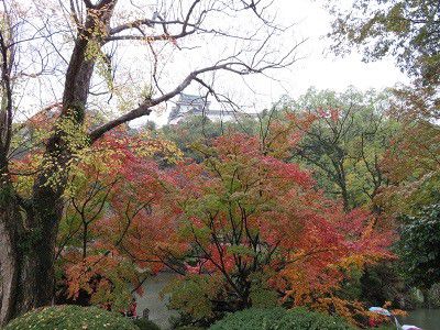 和歌山城(4)紅葉渓庭園