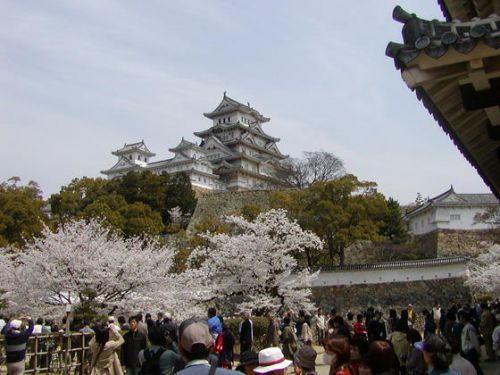 兵庫県姫路市：２０１８年の桜シーズンの「姫路城」の詳しい記事、紹介！