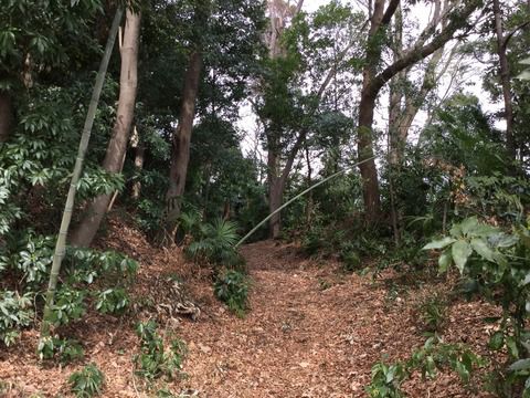 神奈川県横浜市　篠原城跡