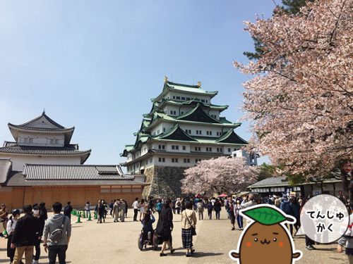 名古屋城　天守と花見と横丁と　2018春（その3）