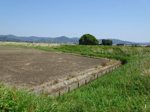 池田輝政が吉田城を水害から守るために築いたといわれる豊川市の霞提