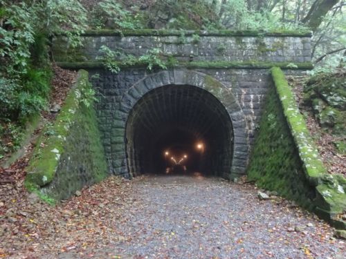 所要時間20分・川端康成の『伊豆の踊子』で有名な「旧天城トンネル・天城山隧道（あまぎさんずいどう）」に行ってきました。バスでのアクセス方法や駐車場をご紹介！