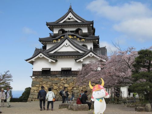 滋賀県彦根市：「彦根城桜まつり」が好評開催中！！もうすぐ満開ですよ～（～４月１８日（木）まで）