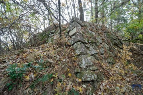 長門浦城 (2018) [3/4] 小山を総石垣の要塞に仕立てたような山腹の曲輪群へ。