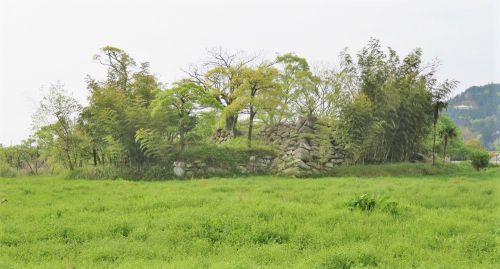 近江　大溝城　 古城感ある天守台と周囲の雰囲気