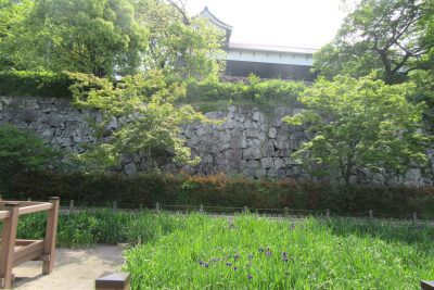 福岡城跡を彩る花々