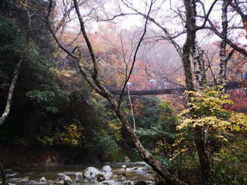 「汐見滝吊り橋」の紅葉トンネルと「汐見滝」が有名な茨城県の「花貫渓谷（はなぬきけいこく）」へ行ってきました！見どころや駐車場等をご紹介します
