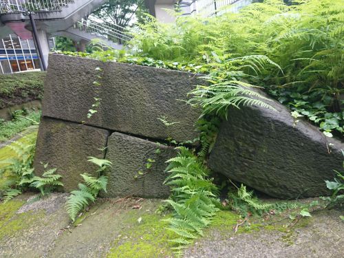 江戸城石垣～東京に残る江戸を探して