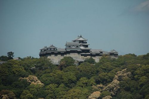 伊豫松山城・第３位にランクされた⇒城巡り旅人が選ぶ日本の名城に！！