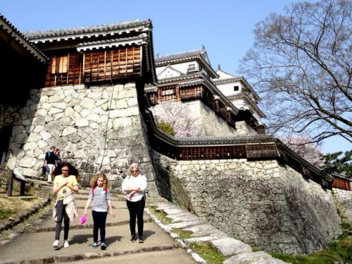 日本最大の登り石垣が現存する！伊予松山城