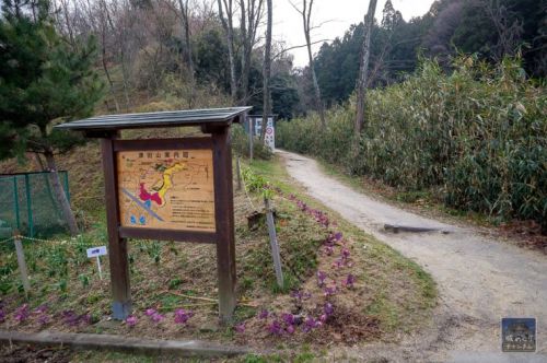 津田城 : 河内・大和・山城の国境に位置する山中の陣城跡か