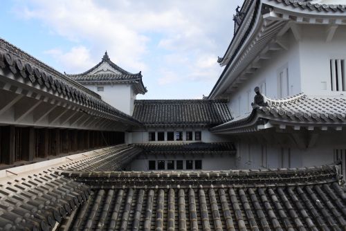 世界遺産登録25周年記念 姫路城冬の特別公開