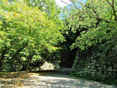 福岡城跡に秋の訪れ