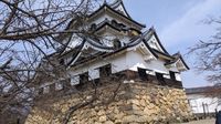 彦根城 - 城を見る