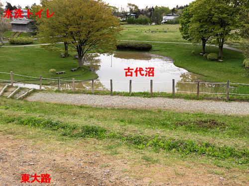 秋田城（続日本１００名城） ５　古代沼から古代水洗トイレ