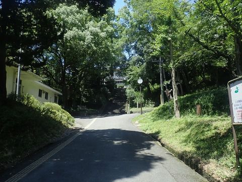 2022年7月下旬　多聞城登城と奈良公園散策
